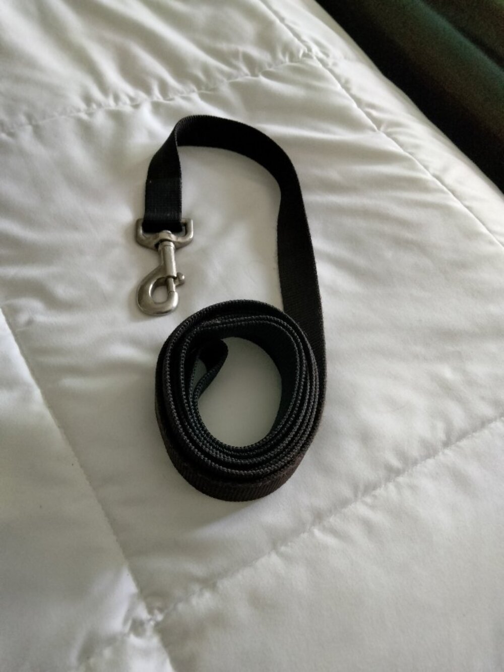 Dog Leash Black 6' long - heavy clasp for bigger dog - never used